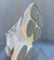 Imagen de New Balance 90-60