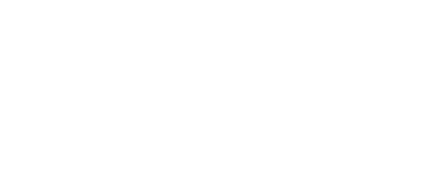 divergenteshop