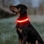 Collar para perros LED - Luz led Celeste en internet