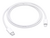 CABLES IPHONE PD TIPO C - LIGHTNING 1M