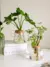 Imagem do 2/1 Pcs Vasos de flores de vidro para plantas hidropônicas, decoração de casa