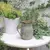 Vaso de flores galvanizado rústico do vintage do vaso de flores do estilo franc