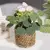 Xiya flor verde plantas artificiais eucalipto flores tecido pequenos vasos de pl - comprar online