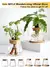 2/1 Pcs Vasos de flores de vidro para plantas hidropônicas, decoração de casa