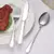 Conjunto de talheres de aço inoxidável, 6/30 peças, faca de bife e garfo, sob na internet
