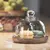 Recipientes de armazenamento de alimentos de vidro criativo com tampa de madeira - comprar online
