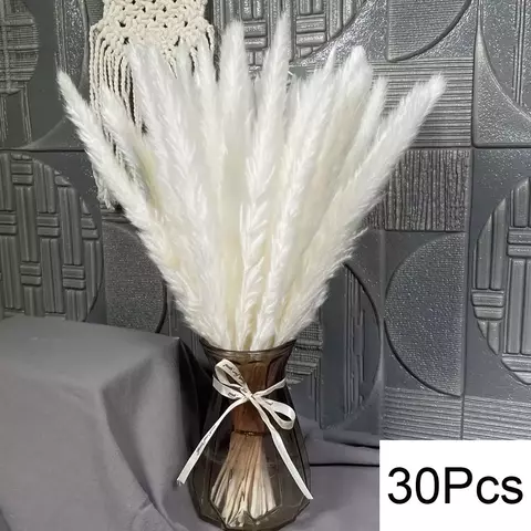 Bouquet De Flores Secas De Pampas Fofos, Decoração De Casa, Coelho Natural Cau