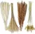 Buquê de flores secas de pampas fofos naturais, grama de cauda de coelho, decor - comprar online