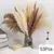 Bouquet De Flores Secas De Pampas Fofos, Decoração De Casa, Coelho Natural Cau - loja online