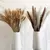 Imagem do Bouquet De Flores Secas De Pampas Fofos, Decoração De Casa, Coelho Natural Cau