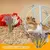 Flor seca hamster desodorização cama pequeno animal desodorante flor e planta - DOMU DECOR