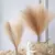 Grama de pampas artificial, 6 peças, decoração de flores, planta falsa, palhe - comprar online