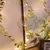 Luzes de fio de cobre , folhas minúsculas douradas, luz de fadas, - DOMU DECOR