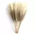 Grama de pampas artificial, 6 peças, decoração de flores, planta falsa, palhe - DOMU DECOR