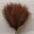 5/10/20 pçs fofo pampas grama boho decoração flor artificial planta falsa ree na internet