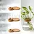 2/1 Pcs Vasos de flores de vidro para plantas hidropônicas, decoração de casa na internet