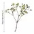 Flores secas a granel de Gypsophila para Pressionar Artesanato, Materiais DIY pa na internet
