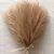 5/10/20 pçs fofo pampas grama boho decoração flor artificial planta falsa ree - loja online