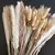Bouquet De Flores Secas De Pampas Fofos, Decoração De Casa, Coelho Natural Cau - comprar online