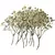 Flores secas a granel de Gypsophila para Pressionar Artesanato, Materiais DIY pa na internet