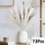 Bouquet De Flores Secas De Pampas Fofos, Decoração De Casa, Coelho Natural Cau - comprar online