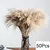 Bouquet De Flores Secas De Pampas Fofos, Decoração De Casa, Coelho Natural Cau na internet