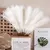5/10/20 pçs fofo pampas grama boho decoração flor artificial planta falsa ree na internet