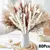 Bouquet De Flores Secas De Pampas Fofos, Decoração De Casa, Coelho Natural Cau - comprar online