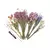 Flor seca hamster desodorização cama pequeno animal desodorante flor e planta - comprar online