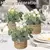 Xiya flor verde plantas artificiais eucalipto flores tecido pequenos vasos de pl - comprar online