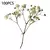 Flores secas a granel de Gypsophila para Pressionar Artesanato, Materiais DIY pa - DOMU DECOR