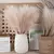5/10/20 pçs fofo pampas grama boho decoração flor artificial planta falsa ree