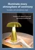 Retro cogumelo led candeeiro de mesa sensor toque lâmpada iluminada luzes leitu - DOMU DECOR
