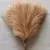 5/10/20 pçs fofo pampas grama boho decoração flor artificial planta falsa ree na internet