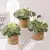 Xiya flor verde plantas artificiais eucalipto flores tecido pequenos vasos de pl - DOMU DECOR