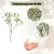 Flores secas a granel de Gypsophila para Pressionar Artesanato, Materiais DIY pa