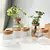 2/1 Pcs Vasos de flores de vidro para plantas hidropônicas, decoração de casa - loja online