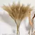 Pampas Artificiais Boho Flores Decorativas, Arranjo De Flores De Mesa De Festa E - comprar online