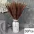 Bouquet De Flores Secas De Pampas Fofos, Decoração De Casa, Coelho Natural Cau