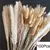 Bouquet De Flores Secas De Pampas Fofos, Decoração De Casa, Coelho Natural Cau - loja online