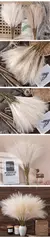 5/10/20 pçs fofo pampas grama boho decoração flor artificial planta falsa ree - loja online