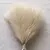 5/10/20 pçs fofo pampas grama boho decoração flor artificial planta falsa ree - DOMU DECOR