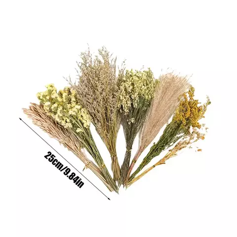 Flor seca hamster desodorização cama pequeno animal desodorante flor e planta