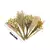 Flor seca hamster desodorização cama pequeno animal desodorante flor e planta
