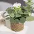 Xiya flor verde plantas artificiais eucalipto flores tecido pequenos vasos de pl - DOMU DECOR