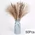 Imagem do Bouquet De Flores Secas De Pampas Fofos, Decoração De Casa, Coelho Natural Cau