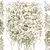 Imagem do Flores secas a granel de Gypsophila para Pressionar Artesanato, Materiais DIY pa