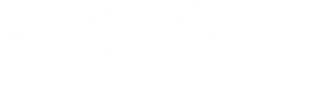 Street Bird