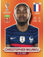 FIFA World Cup 2022 - #FRA19 - Christopher Nkunku