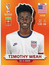 FIFA World Cup 2022 - #USA19 - Timothy Weah